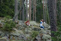 Peikkorastit_2010_022