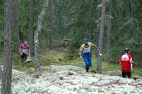 Peikkorastit_2010_027
